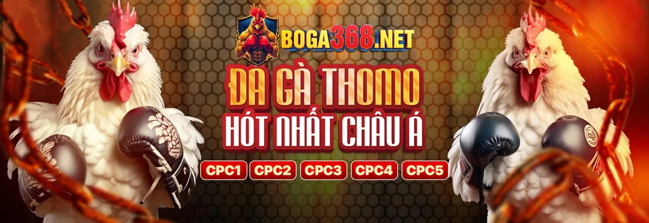 Cá cược thể thao tại QQ288