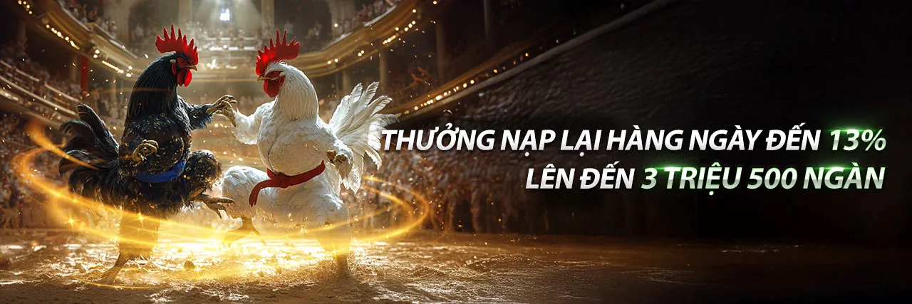 Đá Gà Trực Tuyến QQ288